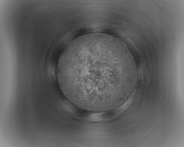 X0000112380178200908201529