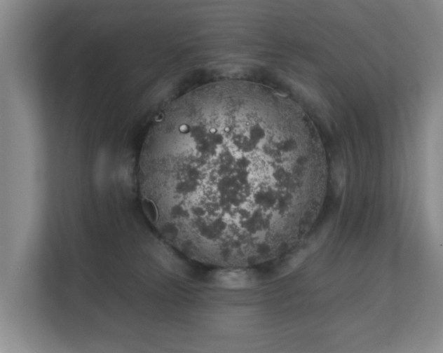 X0000112380181200908201529