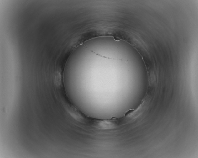 X0000112380183200908201529