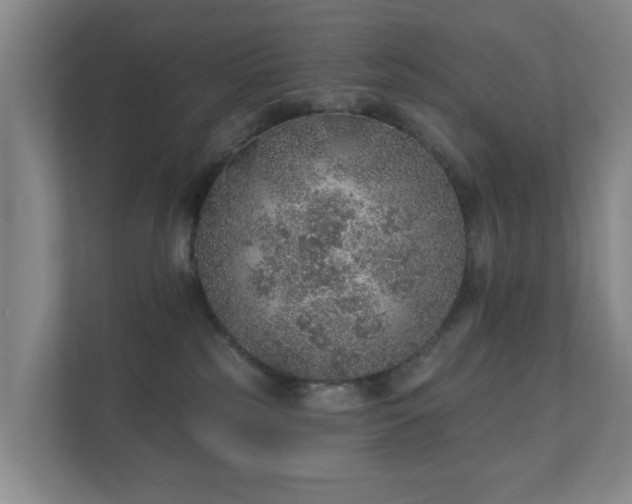 X0000112380185200908201529