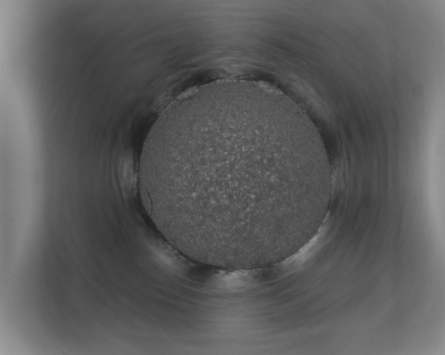 X0000112380186200908201529