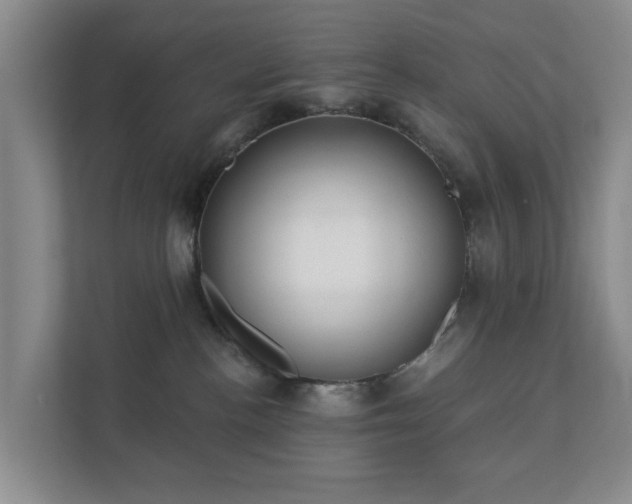 X0000112380188200908201529