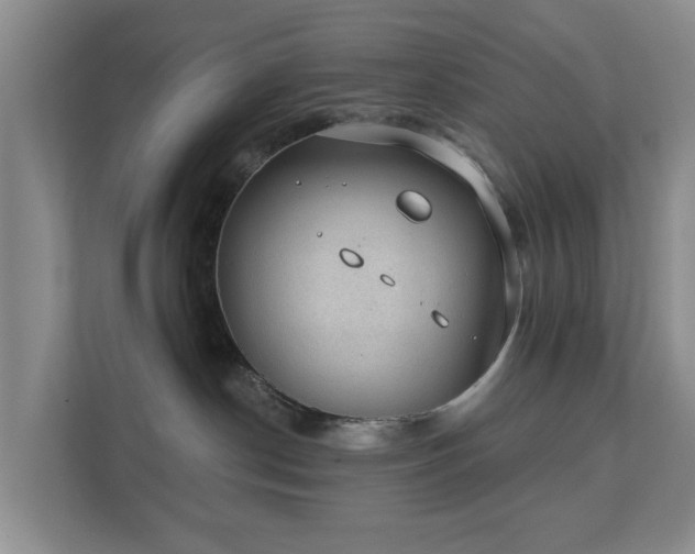 X0000112380190200908201529