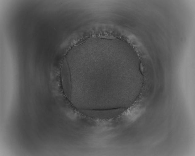 X0000112380192200908201529