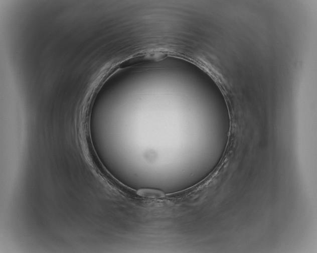 X0000112380193200908201529