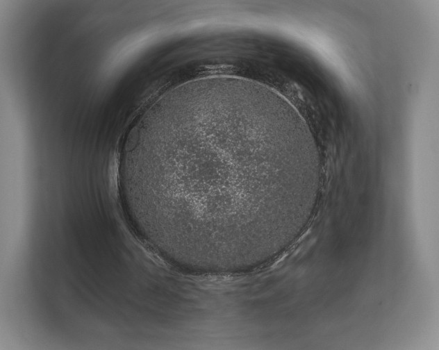 X0000112380194200908201529