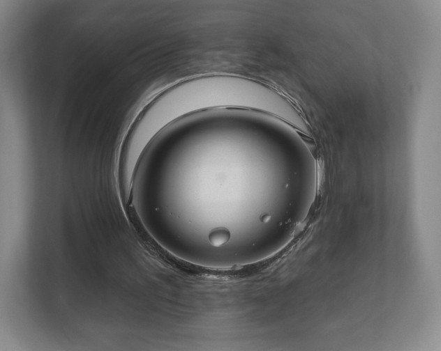 X0000112380195200908201529