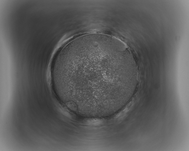 X0000112380198200908201529