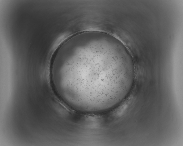 X0000112380199200908201529