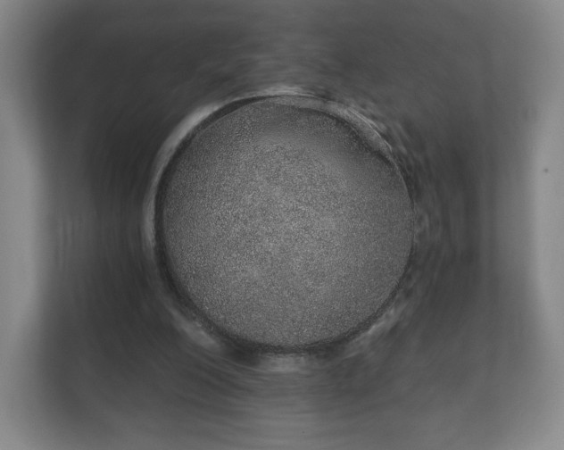 X0000112380200200908201529