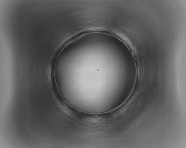 X0000112380201200908201529