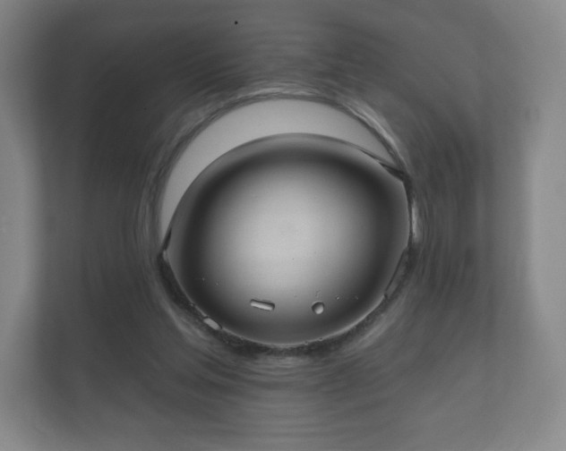 X0000112380205200908201529