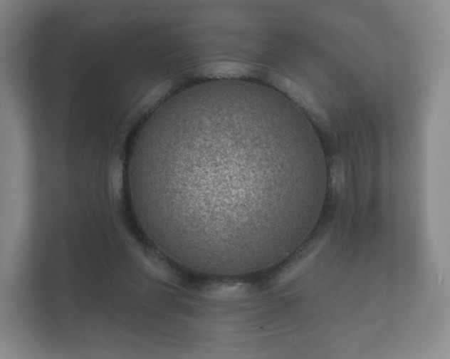 X0000112380206200908201529