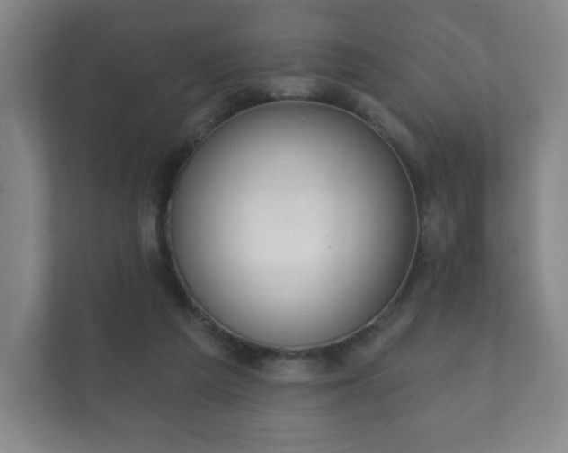 X0000112380209200908201529