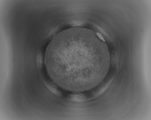 X0000112380215200908201529