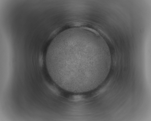 X0000112380216200908201529