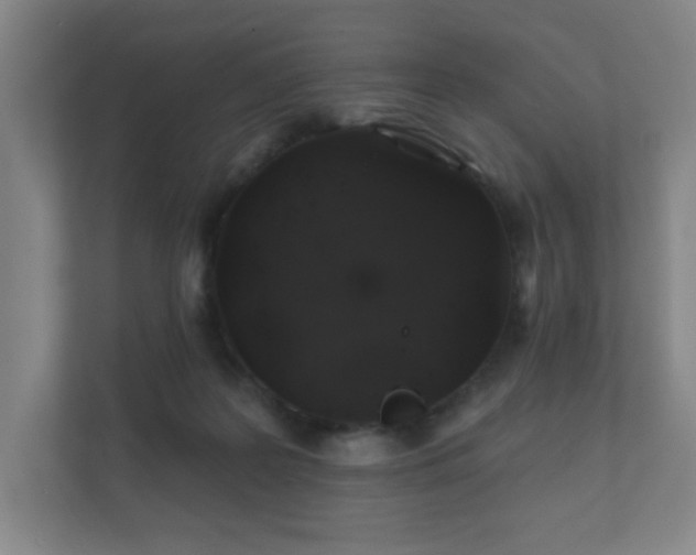 X0000112380219200908201529