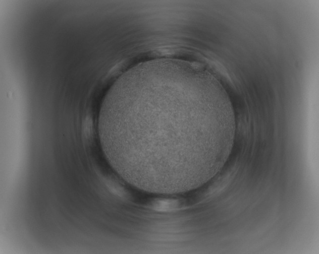 X0000112380220200908201528