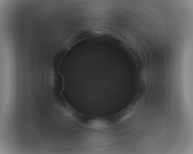 X0000112380223200908201528