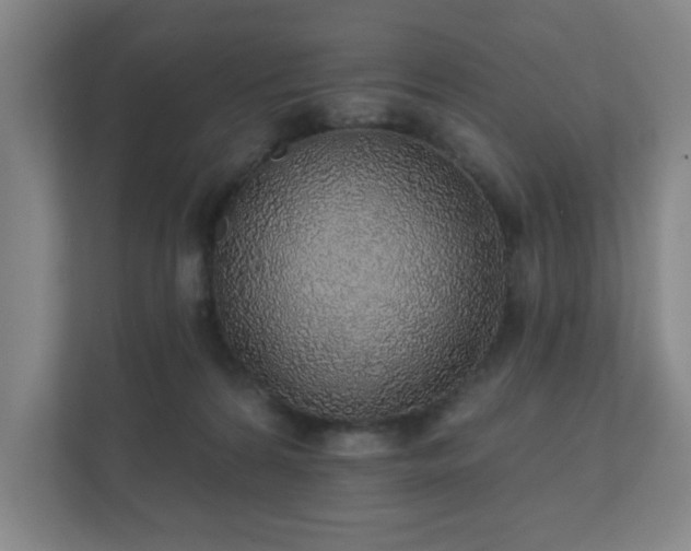 X0000112380224200908201528