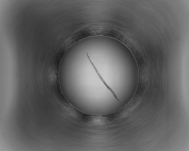 X0000112380226200908201528