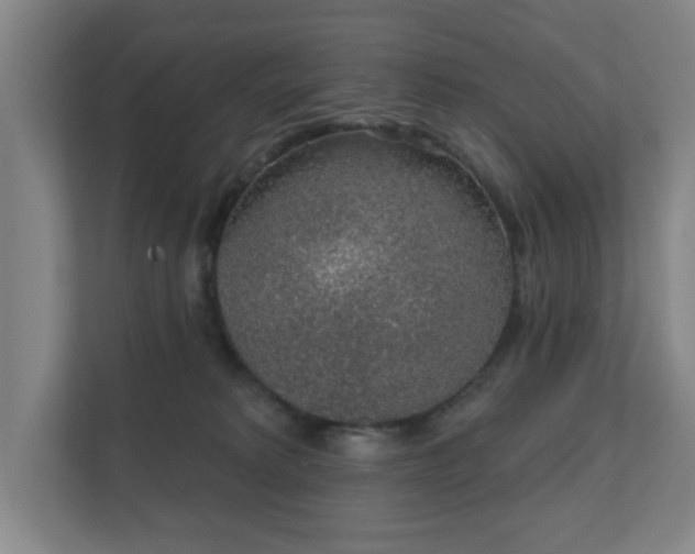 X0000112380229200908201528