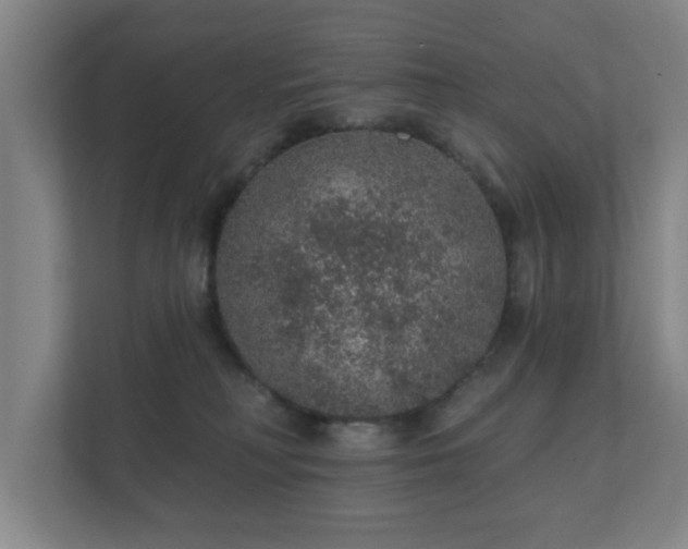 X0000112380230200908201528