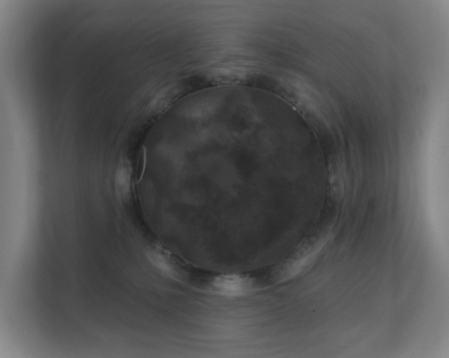 X0000112380231200908201528