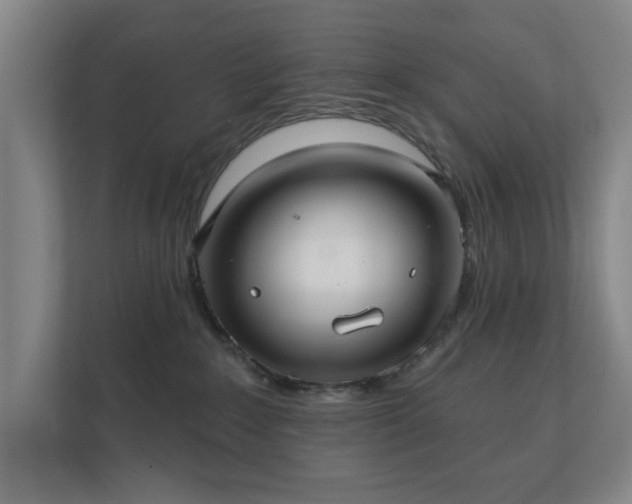 X0000112380235200908201528