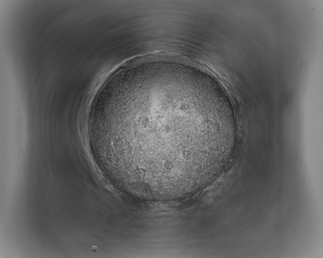 X0000112380241200908201528