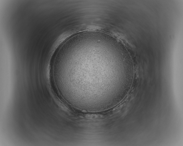 X0000112380242200908201528