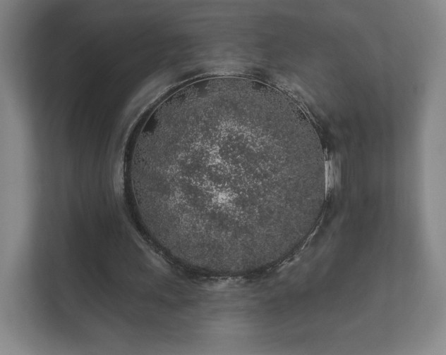 X0000112380243200908201528