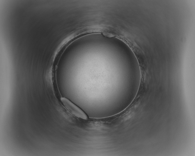 X0000112380244200908201528