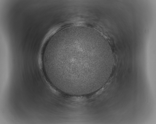 X0000112380245200908201528