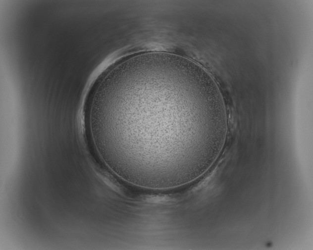 X0000112380246200908201528