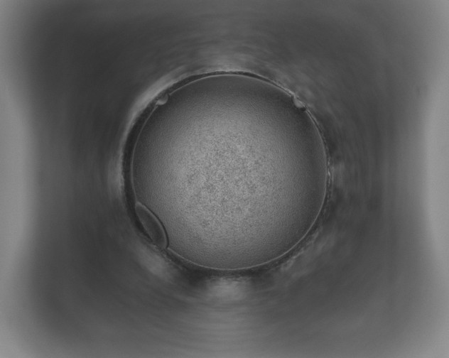 X0000112380248200908201528