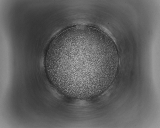 X0000112380249200908201528