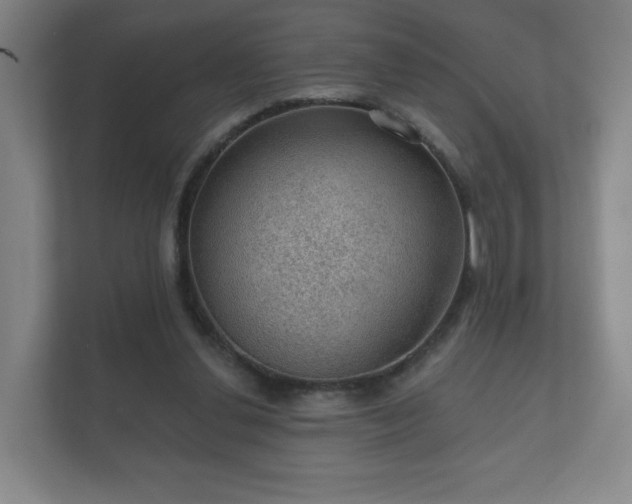 X0000112380252200908201528