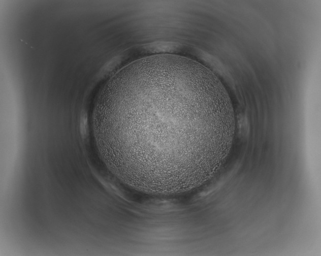 X0000112380254200908201528