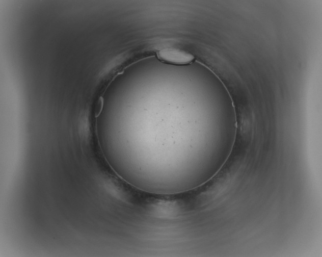 X0000112380256200908201528