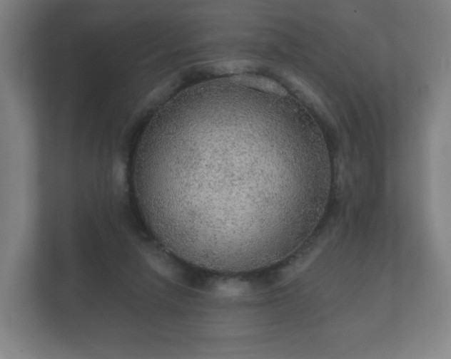 X0000112380258200908201528