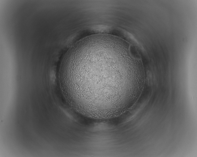 X0000112380259200908201528