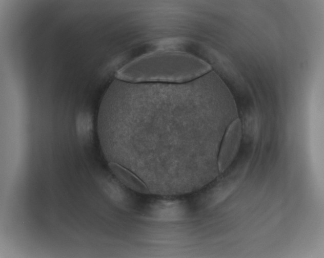 X0000112380260200908201528