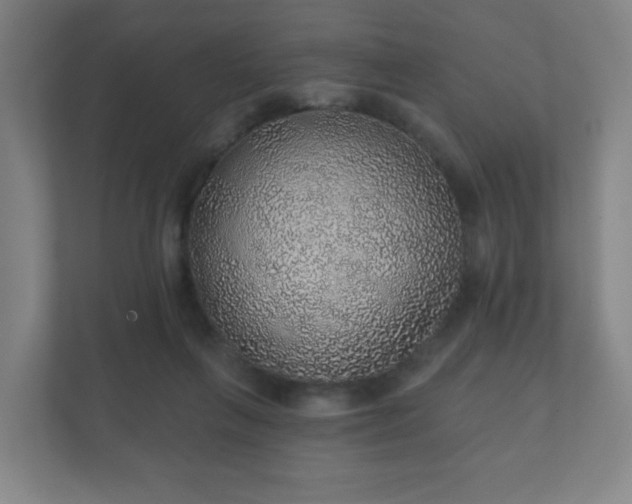 X0000112380263200908201528