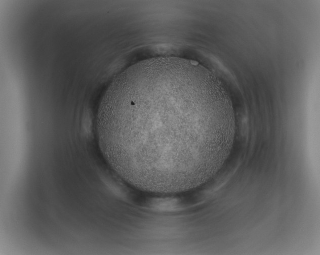 X0000112380266200908201528