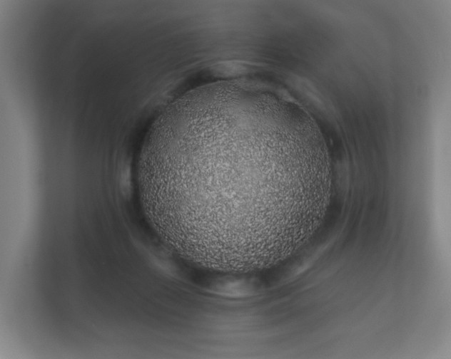 X0000112380267200908201528