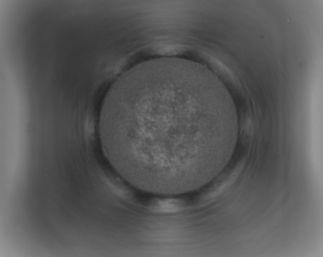 X0000112380268200908201528