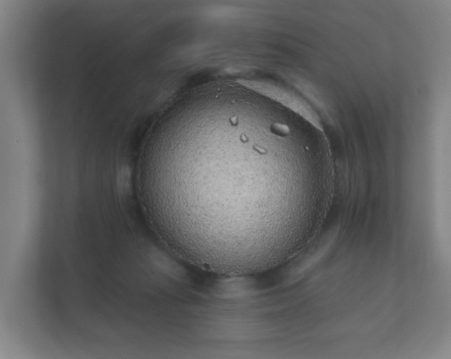 X0000112380269200908201528