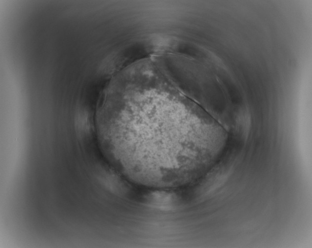 X0000112380272200908201528