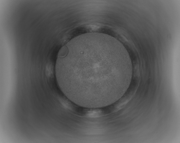 X0000112380274200908201528